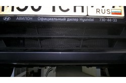 Защитная сетка в бампер Hyundai Solaris с установкой