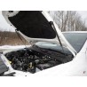 Амортизатор капота Volkswagen Amarok рестайлинг