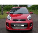 Решетка радиатора Kia Picanto 2 рестайлинг средняя