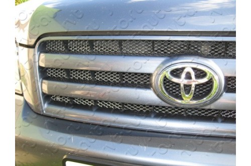 Сетка в бампер Toyota Highlander 2 с установкой