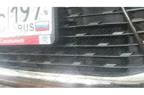 Сетка в бампер Toyota Camry V50 с установкой