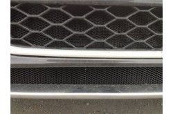 Сетка в бампер с установкой Audi A4