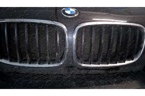 Сетка в бампер с установкой BMW X5
