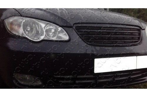 Сетка в бампер с установкой Byd F3