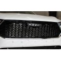 Защитная сетка радиатора Haval F7