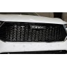 Защитная сетка радиатора Haval F7