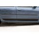 Молдинги на двери Renault Logan