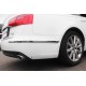 Хромированные молдинги на птф и задний бампер Audi A6 C7