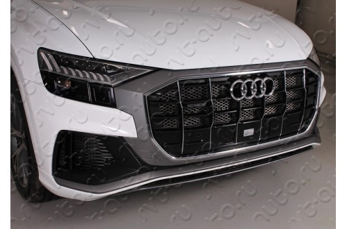 Защитная сетка радиатора Audi Q8