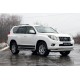 Молдинги на двери Toyota Land Cruiser Prado 150