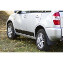 Молдинги на двери Chery Tiggo T11