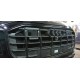 Сетка в бампер с установкой Audi Q8