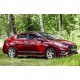 Молдинги на двери Hyundai Solaris 2
