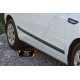 Молдинги на двери (вариант 2) для Kia Rio 3