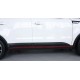 Молдинги на двери Kia Soul 2