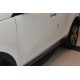 Хромированные молдинги дверей Kia Sportage 3